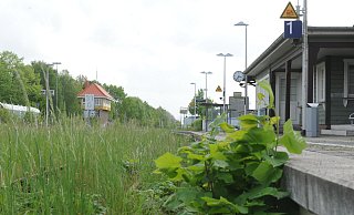 Das Stellwerk der DB Netz im Bahnhof Rahden ist seit Wochen nicht besetzt und Rahden ist seit Mitte März vom Zugverkehr abgeschnitten. Die Natur holt sich inzwischen den Bahnhof zurück. - Joern Spreen-Ledebur