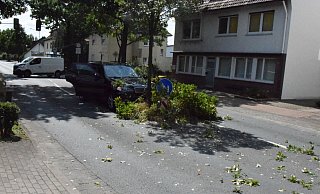 Der BMW kam vor einem zweiten Baum zum Stehen. - Polizei Herford