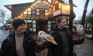 Angelika Bergmann und Frauke Niehus kümmern sich um die beiden Schleiereulen Auri und Umbra. Die beiden Schleiereulen sind im Tierpark Ströhen zu erleben. - Joern Spreen-Ledebur