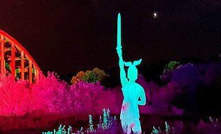 Erst angeleuchtet, dann versteigert: der Hermann auf der LGS. - Nicole Fischer