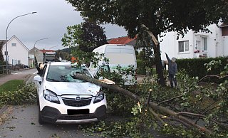 Der Ast durchschlug die Windschutzscheibe des Opel Mokka. - Polizei Minden-Lübbecke