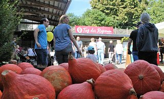 Viele Besucher kamen von weit her nach Rödinghausen zum Tag der Regionen. - Anastasia von Fugler