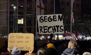 Deutschlandweit demonstrieren Menschen gegen Rechtsextremismus. Aber was würde ein Verbot der Partei bringen? - Valentin Gensch