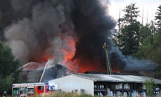 Großeinsatz für die Feuerwehr in Steinheim: Es galt ein den Brand in einer Kunststoff-Fabrik zu löschen und ein Ausbreiten des Feuers auf den nahe liegenden Wald zu verhindern. - Madita Schellenberg