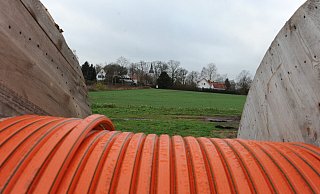Am Leverner Kalberkamp soll unweit des historischen Ortskerns ein neues Baugebiet entstehen. - Joern Spreen-Ledebur Am Leverner Kalberkamp soll unweit des historischen Ortskerns ein neues Baugebiet entstehen. - Joern Spreen-Ledebur