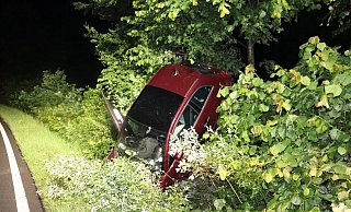 Der Fahrer des Fiat verlor in einer Kurve die Kontrolle und landete im Straßengraben. - Polizei Herford