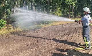 Damit das Feuer vom Stoppelfeld nicht auf den Wald übergreifen kann, wässert ein Feuerwehrmann gründlich den Waldrand. - Andreas Eickhoff