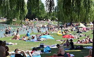 Das Gelände am Nesthauser See ist an schönen Sommertagen ein beliebtes Ziel. Dieses Foto ist aus dem Jahr 2019.  - Svenja Ludwig
