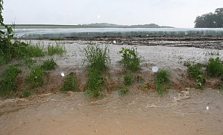 Überschwemmt: Dieser Acker in Halstern an der Straße Langefohrn kurz vor dem Schulweg steht unter Wasser. Unwetter über Mennighüffen, Starkregen in Halstern - Ulf Hanke