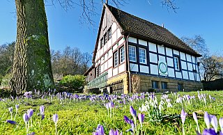Das Gartenlokal „Am Steinbrink“ liegt idyllisch in der gleichnamigen Schrebergartenanlage in Tierpark-Nähe. - BARBARA FRANKE
