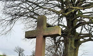 Soll weg. Das Kreuz an der Landesstraße 890 zwischen den Höxteraner Ortschaften Bosseborn und Ottbergen. - David Schellenberg