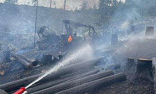 Mehr als 100 Feuerwehrleute waren im Leiberger Wald im Einsatz. - Feuerwehr Bad Wünnenberg