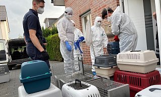 Einsatzkräfte tragen Boxen mit Katzen aus einem Haus in Lippstadt. Insgesamt wurden dort 167 Tiere gefunden. Sieben von ihnen sind nun im Tierheim Gütersloh aufgenommen worden. - Christian Müller