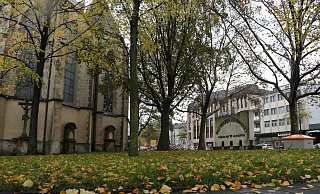 Auf der freien Grünfläche zwischen der Herz-Jesu-Kirche und der Florianstraße könnte eine überdachte Aufenthaltsmöglichkeit entstehen. - Mareike Gröneweg