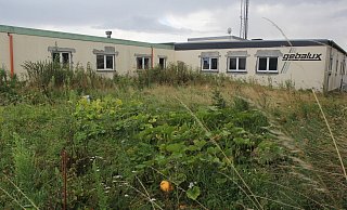 Vor der Moschee des Al Mahdi Kulturvereins ist ein Gemüsegarten angelegt worden, in dem ein Kürbis wächst. - Ulf Hanke