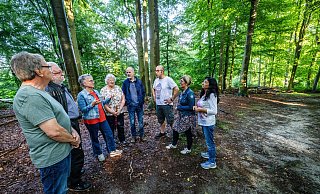 Jeden Morgen ab 8 Uhr tobt im Wäldchen zwischen Zirkonstraße und Monsteinweg eine Gruppe von Hunden und macht eine halbe Stunde lang Höllenlärm, berichten die verzweifelten Anwohner. - Sarah Jonek Fotografie
