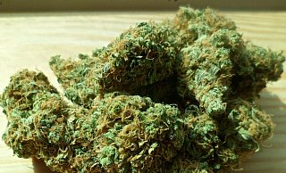 Der junge Mann hatte offenbar während der Fahrt Cannabis konsumiert. - Pixabay (Symbolfoto)