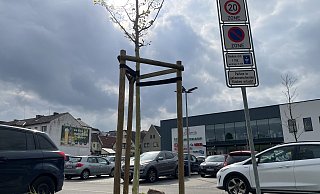 Edeka ist wichtig, dass am Papendiek auch für die Kunden des Marktkauf Lübbecke ausreichend Parkplätze zur Verfügung stehen. - Heike von Schulz