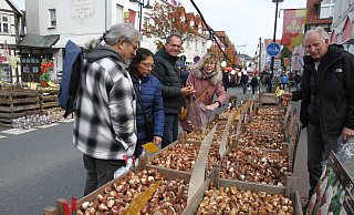 Die verschiedensten Tulpenzwiebeln aus den Niederlanden waren auf Martini ein Renner. Erstmals gab es einen Hollandmarkt beim Salzkottener Stadtfest. - Johannes Büttner