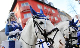 Eine Karnevalistin auf einem Pferd beim Kölner Rosenmontagszug 2018. - Rolf Vennenbernd