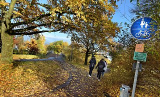 Rad- und Gehweg in einem Bielefelder Grünzug: Innerstädtische Grünflächen und Parks sollen zu Ruheoasen für die Menschen werden, die in der Umgebung wohnen. - Barbara Franke