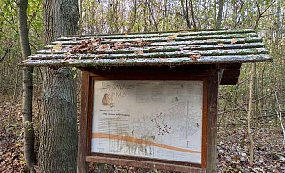 Der Spürnasenpfad im Schweichelner Wald ist noch für die Öffentlichkeit gesperrt. - Björn Kenter