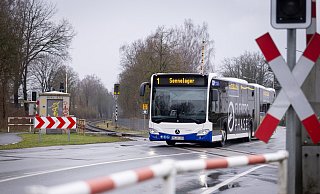 Bus statt Bahn: Zu Libori muss wegen Gleisarbeiten ein Schienenersatzverkehr eingerichtet werden. - Niklas Tüns Bus statt Bahn: Zu Libori muss wegen Gleisarbeiten ein Schienenersatzverkehr eingerichtet werden. - Niklas Tüns