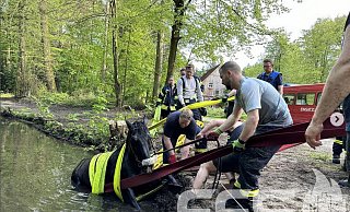 Tierrettung in Steinhagen: Mit vereinten Kräften wurde das Pferd ans Ufer gezogen. - Feuerwehr Steinhagen