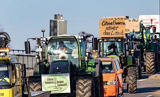 Landwirte protestierten am Montag bundesweit gegen Entscheidungen der Bundesregierung. - Frank Hammerschmidt