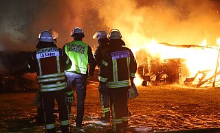 7 der 17 Lämmer und Schafe im Stall wurden Opfer der Flammen. Die Kripo sucht nun Beweise für eine Straftat. - Charlotte Mahncke