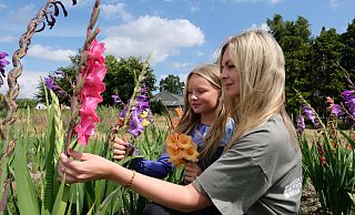 Blumenmeer in Gestringen: Liah und ihre Mutter Tonia pflücken einen farbenfrohen Strauß Gladiolen. - Heike von Schulz