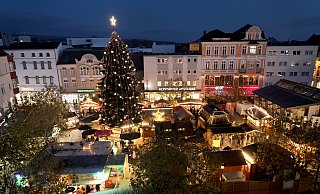 Es wird wieder ein stattlicher Tannenbaum zum Weihnachtsmarkt auf dem Alten Markt stehen. - Frank-Michael Kiel-Steinkamp