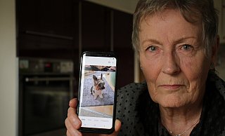 Anita Benedix (76) aus Scherfede bleiben nach dem Angriff eines Kampfhundes nur Erinnerungen an ihren „Jimmy“. - Dieter Scholz