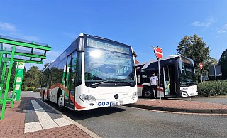 Warten auf Fahrgäste: Am zentralen Omnibusbahnhof Nieheim (ZOB) stehen Busse nach Steinheim und Brakel zur Abfahrt bereit. Die Bürger sollen mitreden, wie viele Busse künftig noch fahren sollen. - David Schellenberg