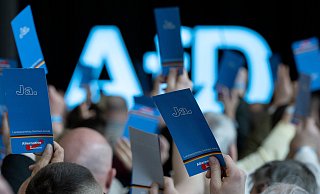 Die Zustimmung für die AfD ist laut des aktuellen Deutschlandtrends wie auf diesem Symbolbild derzeit besonders hoch. Die AfD ist seit der letzten Wahl im Lübbecker Land in allen Stadt- und Gemeinderäten vertreten, mit Ausnahme von Lübbecke. - Symbolbild Dpa