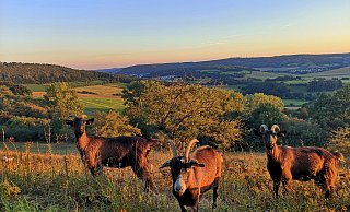 Im Kreis Höxter gibt es viele Lieblingsplätze. - Katja Krajewski