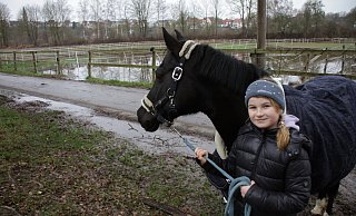 „Noala“ blickt über das stehende Wasser auf den Wiesen gegenüber der Reitanlage an der Angertwete in der Warburger Altstadt. „Auf den gewohnten Auslauf muss sie verzichten“, sagt Merle (8). - Dieter Scholz