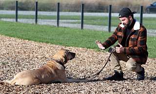 Hundetrainer Mustafa Irmak bemerkt, dass immer mehr Hunde verhaltensauffällig sind. - Wolfgang Rudolf