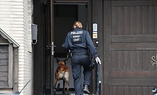 Zwei speziell ausgebildete Hunde kamen bei der Razzia in Höxter-Godelheim zum Einsatz. - Thomas Kube