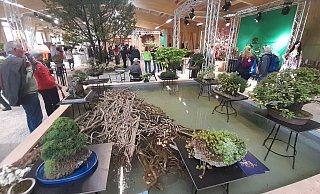 Fernöstliche Inspirationen gibt's bei der zweiten Ausstellung in der Blumenhalle der LGS. - Simone Flörke
