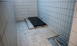 Auch im Polizeigewahrsam leistete die Beschuldigte erheblichen Widerstand gegen die Polizisten. - picture alliance / Marius Becker