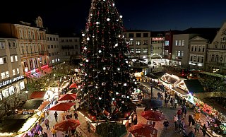 Der Alte Markt mit dem großen Weihnachtsbaum wird auch in diesem Jahr der Magnet des Herforder Weihnachtslichtes sein. - Frank-Michael Kiel-Steinkamp