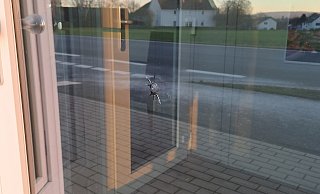 Das Einschussloch an der großen Frontscheibe ist deutlich zu sehen. - Silke Derkum-Homburg