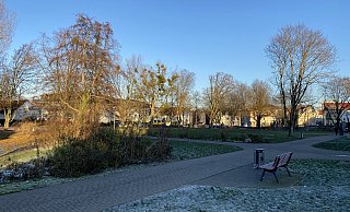 Neue Bäume können im Riemekepark wohl erst im kommenden Jahr gepflanzt werde, geliefert sind sie aber schon. - Marc Schröder