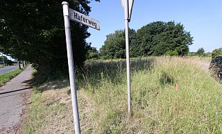 Noch ist nur Gras zu sehen: Auf dieser Grünlandfläche am Haferweg in Oetinghausen soll die neue Kita entstehen. - Björn Kenter