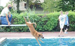 Vom Ein-Meter-Brett ins kühle Nass springen? Für Luna war das kein Thema. Die belgische Schäferhündin hatte ihre helle Freude daran. Hundeschwimmen im Freibad Rahden ist beliebt - und das Freibad ist eine freiwillige Leistung. - Joern Spreen-Ledebur