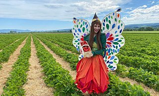 Huxarium-Botschafterin Holli hat Erdbeeren auf Wittrocks Obstplantage gepflückt. - Huxarium-Gartenpark Höxter