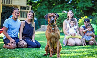Der stolze Gewinner, immer mittendrin, cool und superlieb: Rhodesian Ridegeback Simba (3). Im Hintergrund seine Familie, Bastian, Bianca, Michelle (17), Catalina (3), Mitja (10) und Leonor (1) Schmitz (v.l). - Sarah Jonek