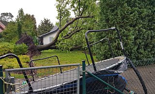Die extremen Gewitterböen in der Nacht zu Dienstag haben einen Baum entwurzelt, ein Trampolin liegt davor, Nähe Koloniestraße in Espelkamp. - Heike von Schulz