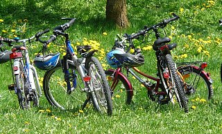 Das gute Wetter genießen: Höxter bietet einige interessante Ausflugsziele im Grünen für die ganze Familie. - Pixabay